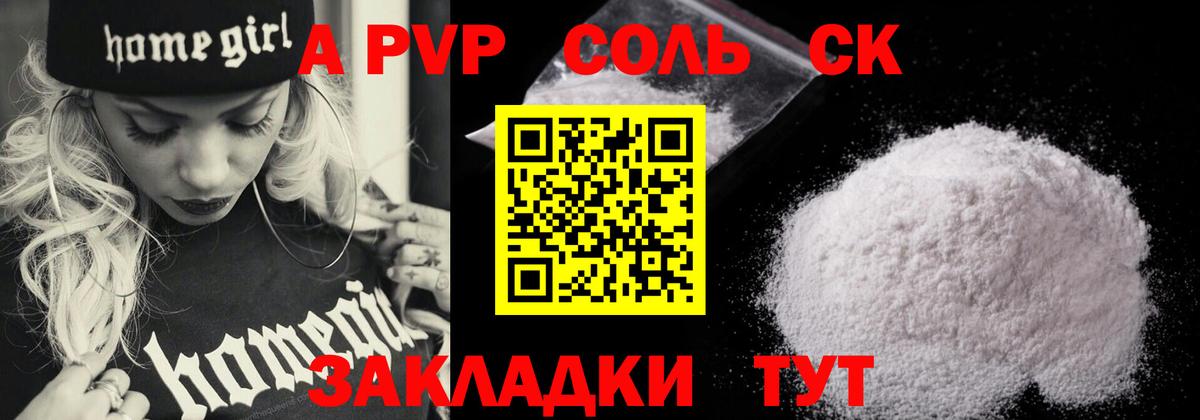 Alfa_PVP СК Вологда