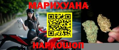 Альфа ПВП Камышлов