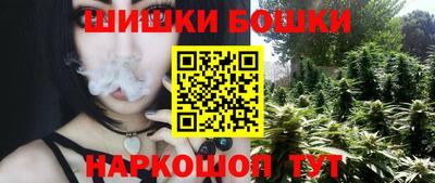 МДПВ Канаш